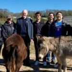 AI to help tell donkeys apart at island sanctuary - 1751712098 277 AI to help tell donkeys apart at island sanctuary.webp AI to help tell donkeys apart at island sanctuary - 1751712098 277 AI to help tell donkeys apart at island sanctuary.webp