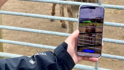 AI to help tell donkeys apart at island sanctuary - AI to help tell donkeys apart at island sanctuary.webp Isle of Wight Donkey Sanctuary/University of Southampton A hand wearing a navy jacket is holding a phone and there is a gate and a donkey in the background. On the smartphone's display, the app's user interface - a framed shot of a donkey with a green box around it and some information being shown which can't be made out in this picture.
